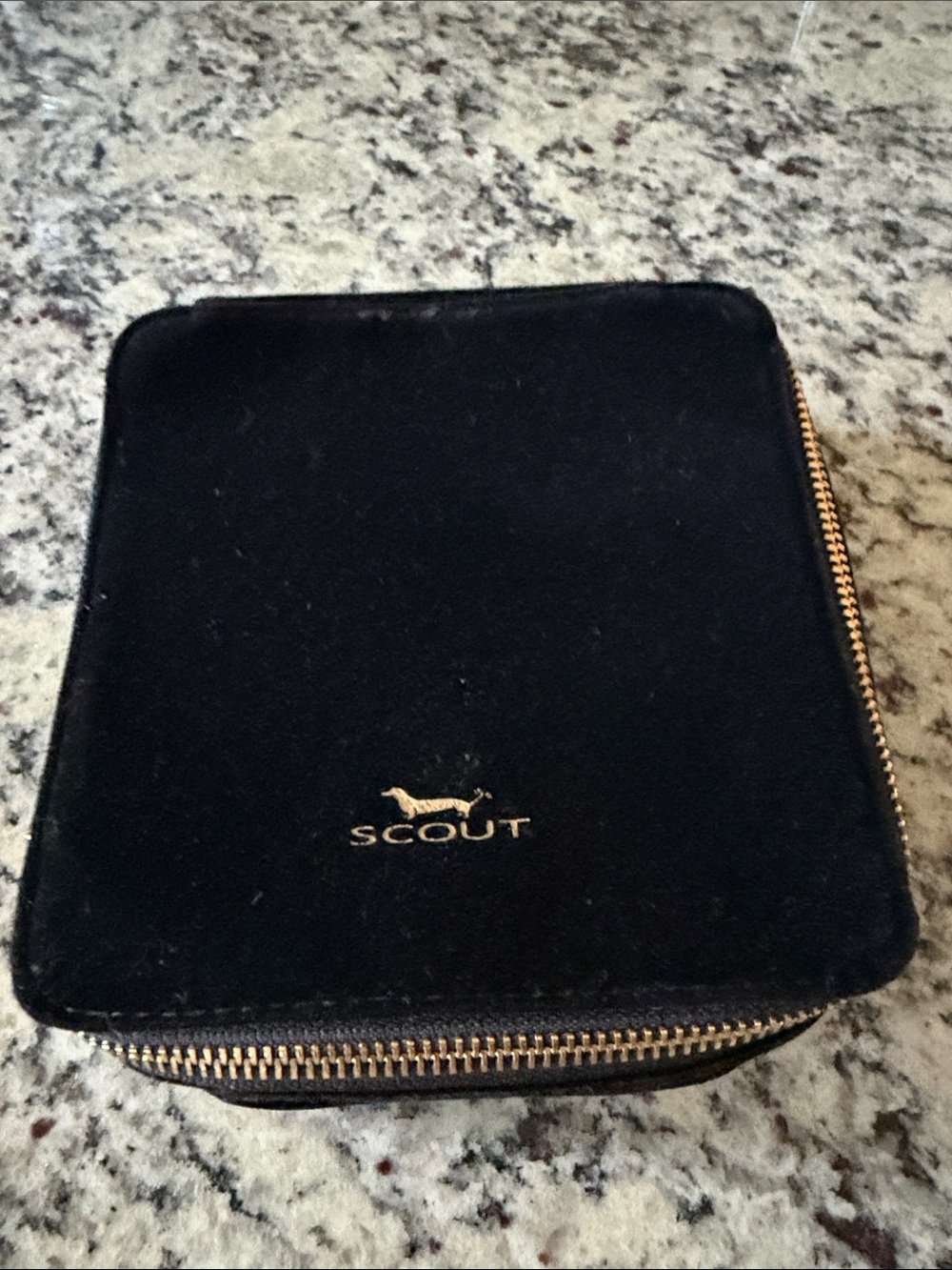 Scout  Storage & Organization Bag